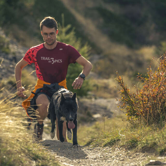 Cani-trail