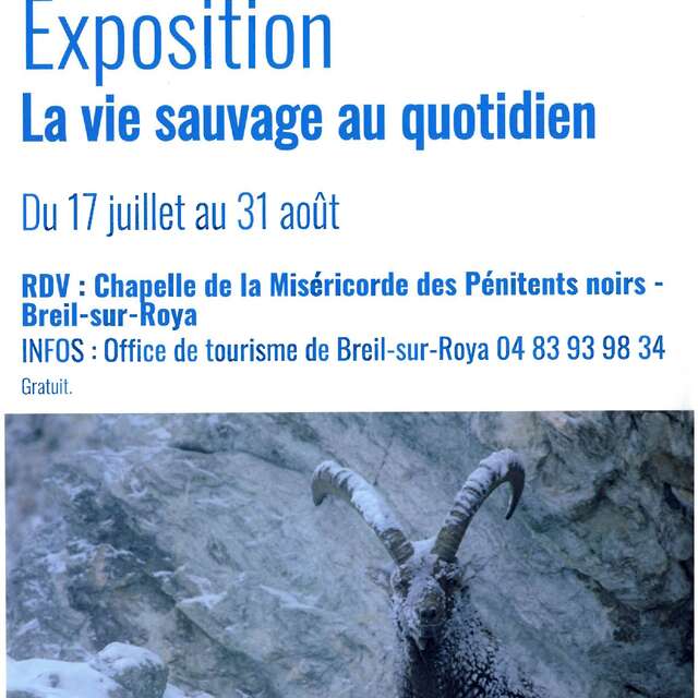 Exposition "La vie sauvage au quotidien"