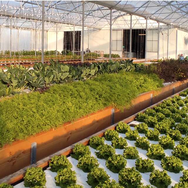 Le printemps est là !