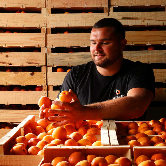Maison de l'abricot - Gobert, le fruit de 4 générations
