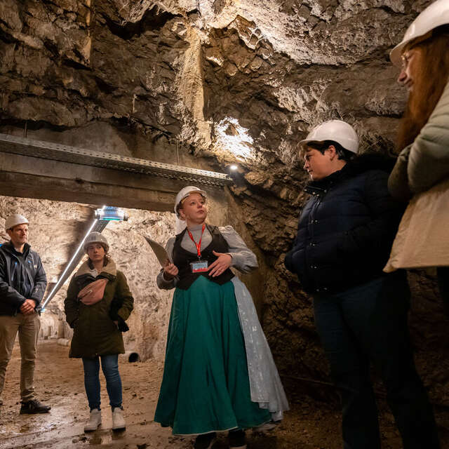 Visite thématique - Abri antiaérien Nézin - Albert Perriol