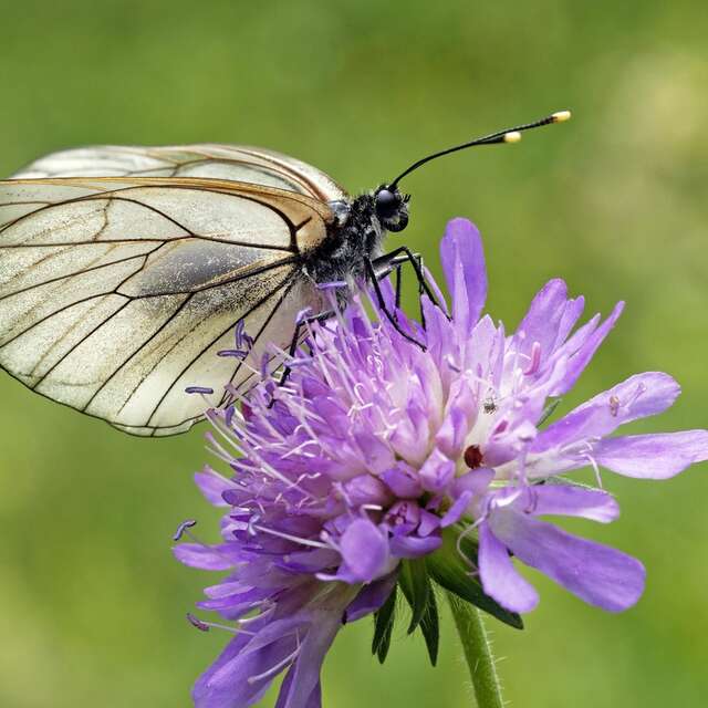 100% natural discovery hikes with the guides' office