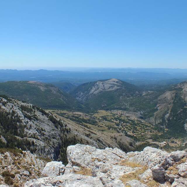 CAILLE - Montagne de l'Audibergue