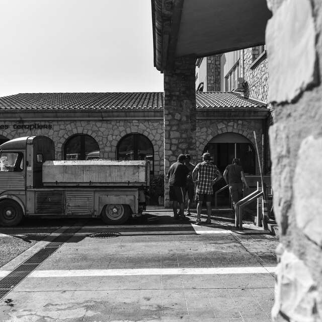 Cave Les Vignerons de Villedieu Buisson