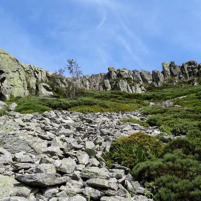 Circuit Trail n°07 : Mont Rechausseyre