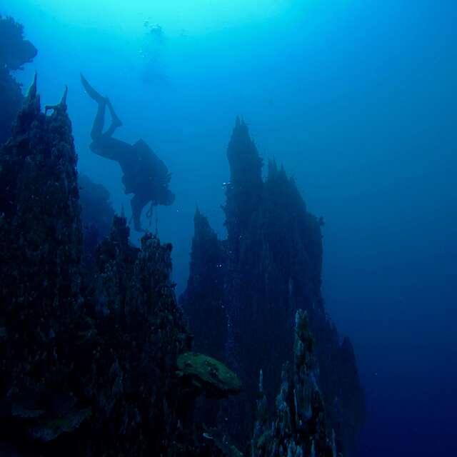 Mobula Diving: Dive Center - Diving School.