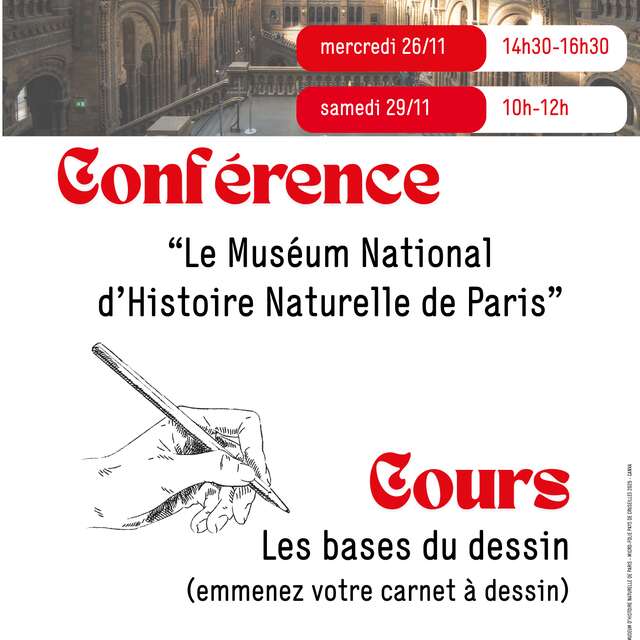 Conférence et cours