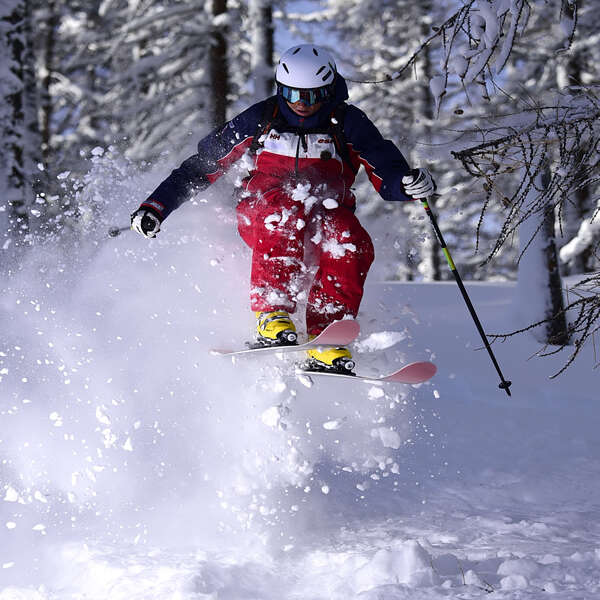 Freestyle - Freeride