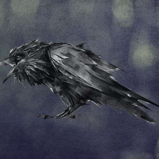 Escape game : La Grande évasion