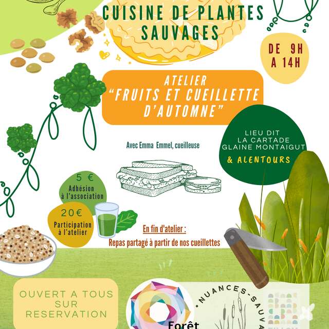 Atelier - Cueillette et cuisine des plantes sauvages