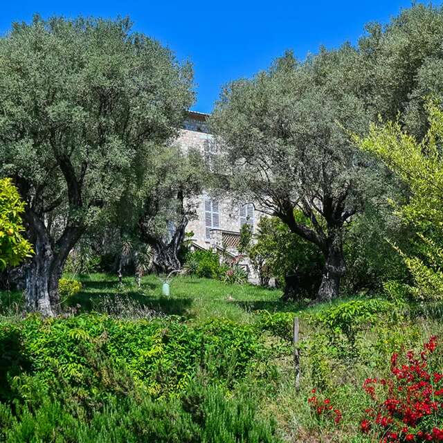 Le jardin du Musée Renoir  - Domaine des Collettes
