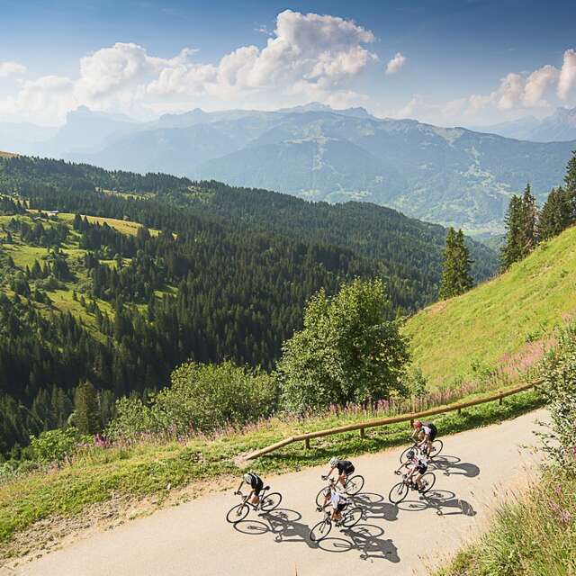 Col de Joux Plane from the north