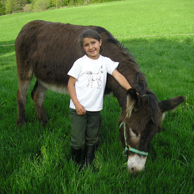 Balades avec des ânes - Ferme équestre Le Rocher