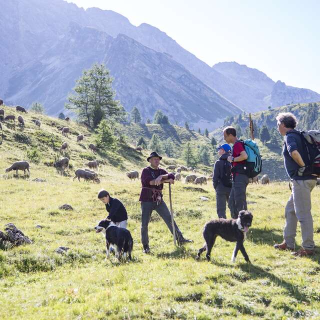 Sortie Parc - Etre berger aujourd'hui