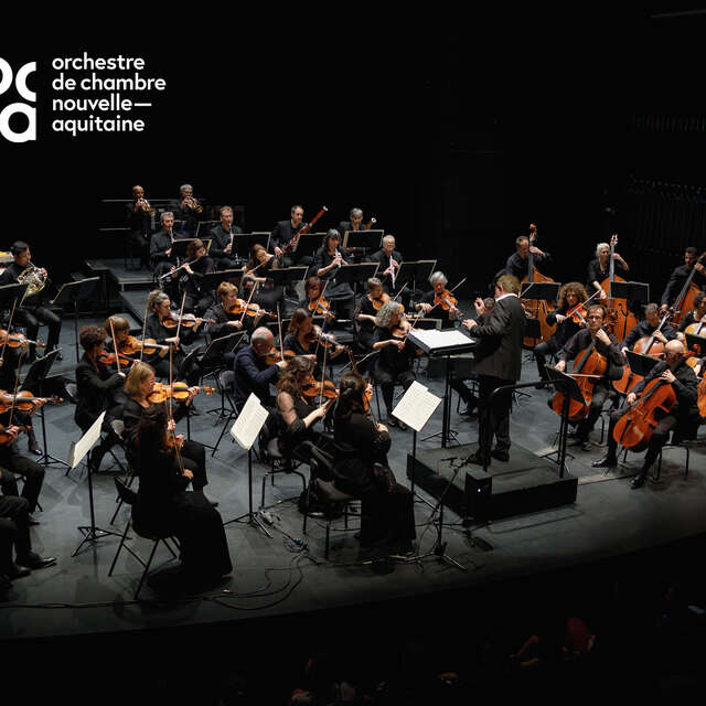 Orchestre de Chambre Nouvelle-Aquitaine "Tendres instants" - Musique classique