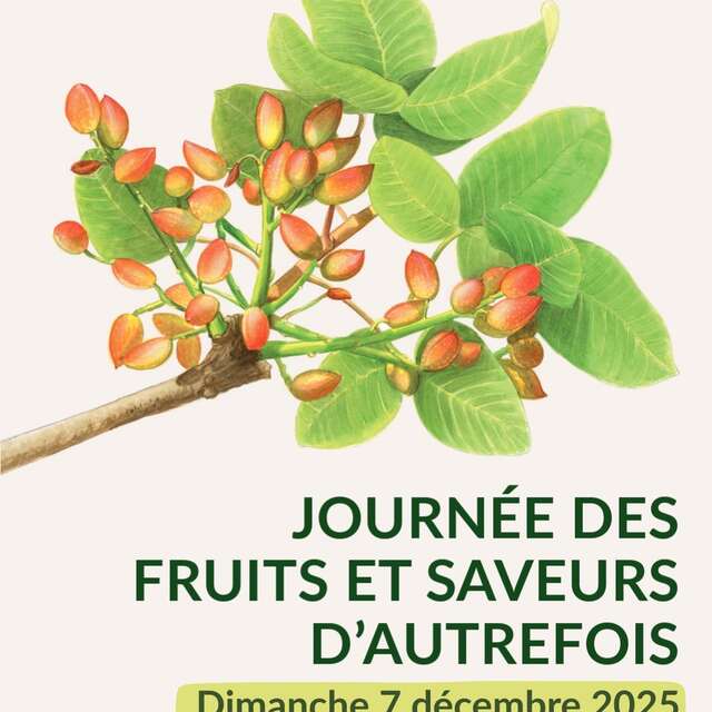 Conférence "Le pistachier, un arbre d'avenir"