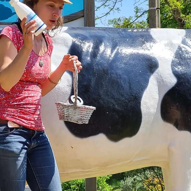 Le petit marché du glacier