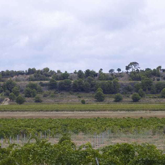 Batterie et blockhaus de la Mauvanne
