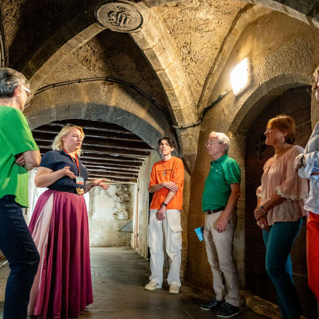 Visite guidée - Chambéry, patrimoine & dégustation de vins