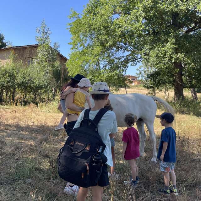Préparation de cookies et visite du parc animalier