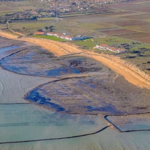 Les écluses à poissons de Sainte-Marie-de-Ré