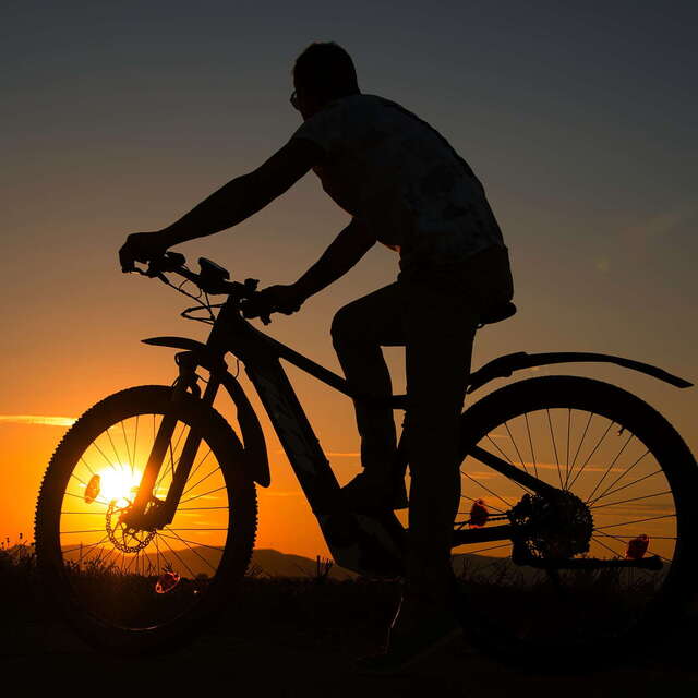 Electrically assisted mountain bikes