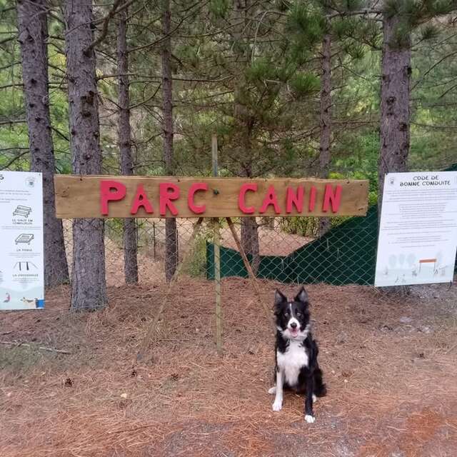 Parco per cani