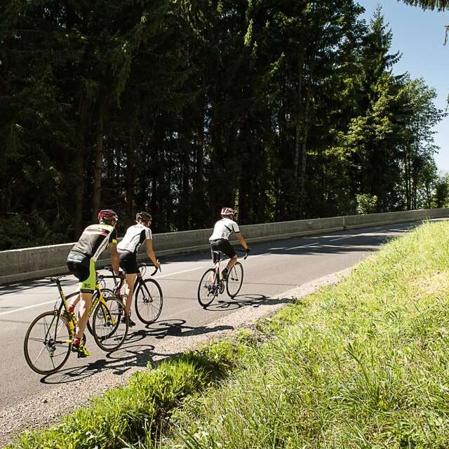 Cycling trip: ascent to Avoriaz south via Morzine