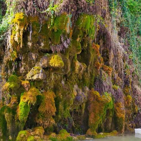 Le Grand Tuf de Maliver