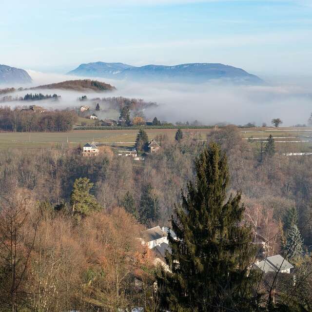 La boucle des vignes