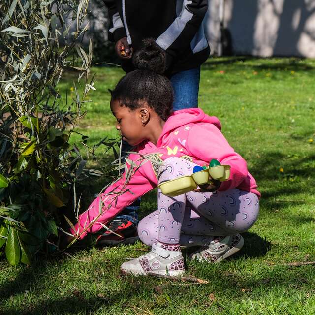 Chasse aux œufs géante !