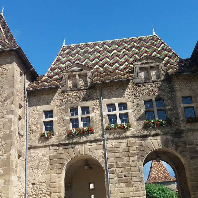 Tour of the Drôme des Collines region