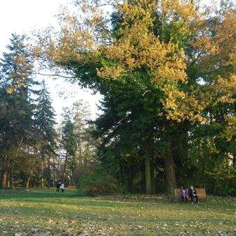 Parc du Treyve