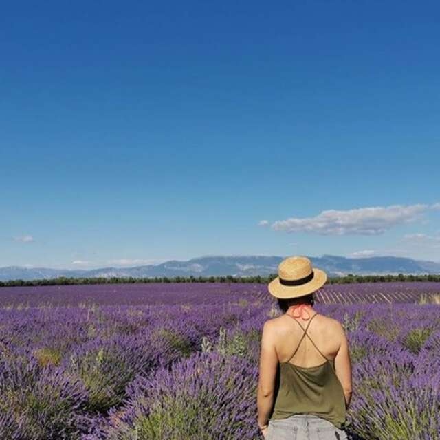 Escapade au pays des Lavandes