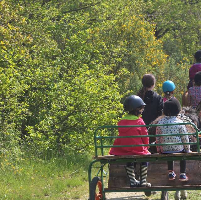 Balade en poney à Villevêque