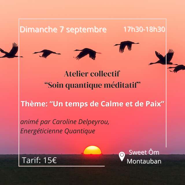 Workshop - Quantum Meditative Care