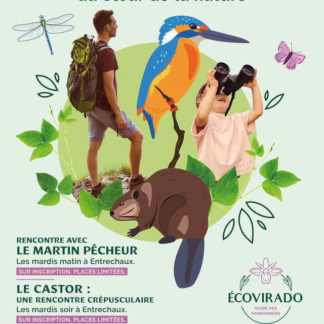 Les orchidées sauvages - sortie naturaliste en famille avec Ecovirado