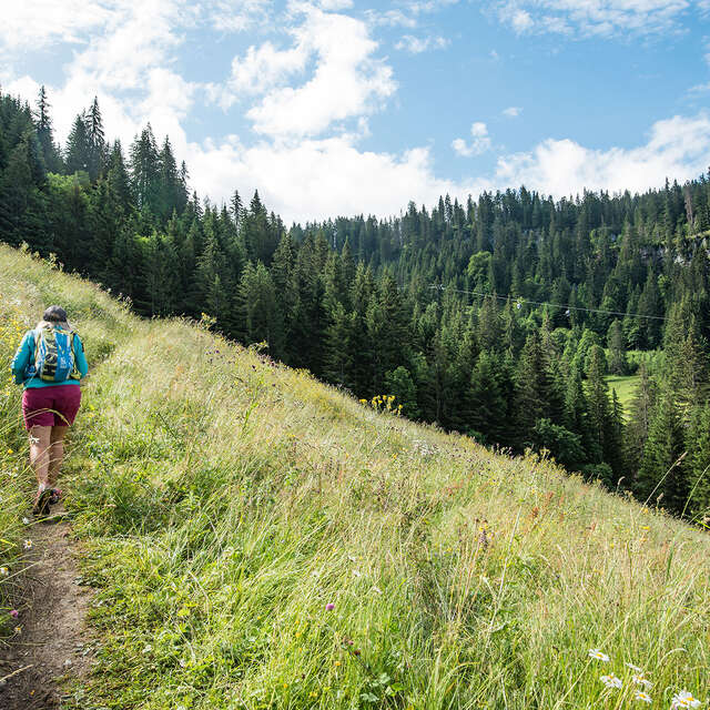 Walking trail: Ardent to Lindarets