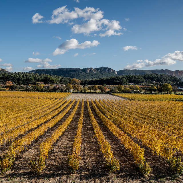 Domaine Cassis Bodin