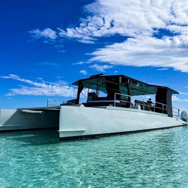 Sortie bateau - MV Boat