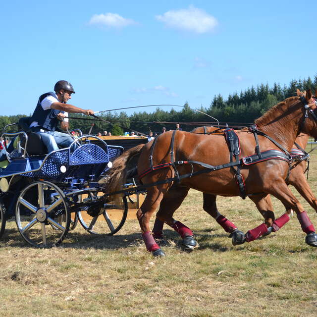 Concours National d'Attelage