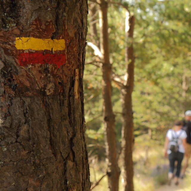 Sorties pédestres avec Randonner en Haute-Provence