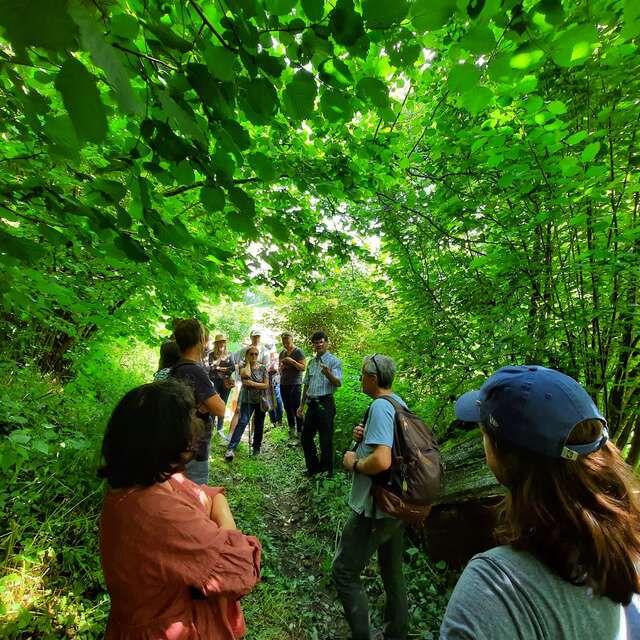 Rando patrimoine " Balade ethnobotanique à Saint-Jean"