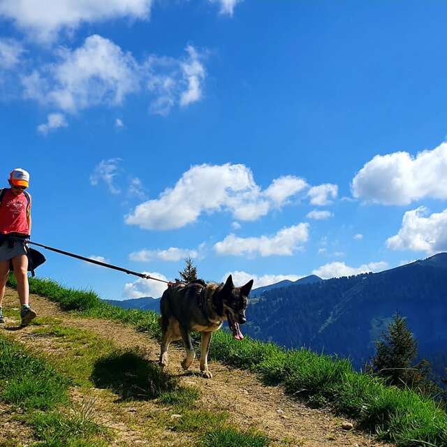 Wandern mit Schlittenhunden (Cani-Rando)