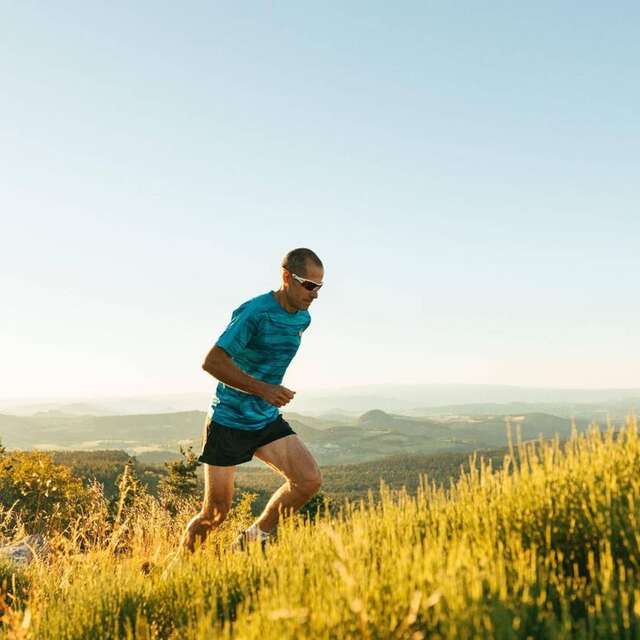 T54 - Le Pic du Lizieux