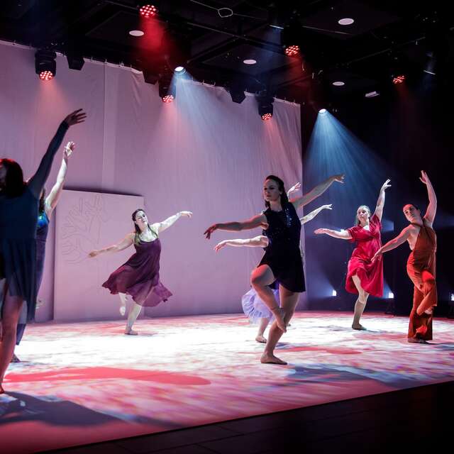 Pandora  - Danse - Festival Antibrouillard