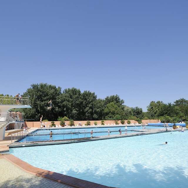 Piscine olympique - La Palmeraie