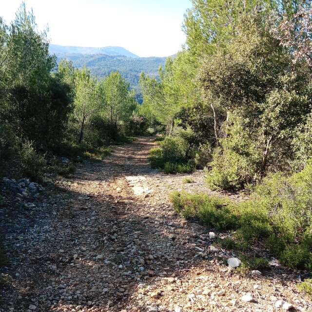 La panoramique de Saint-Zacharie