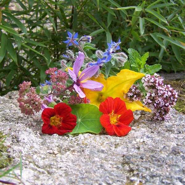 Rutardises florales