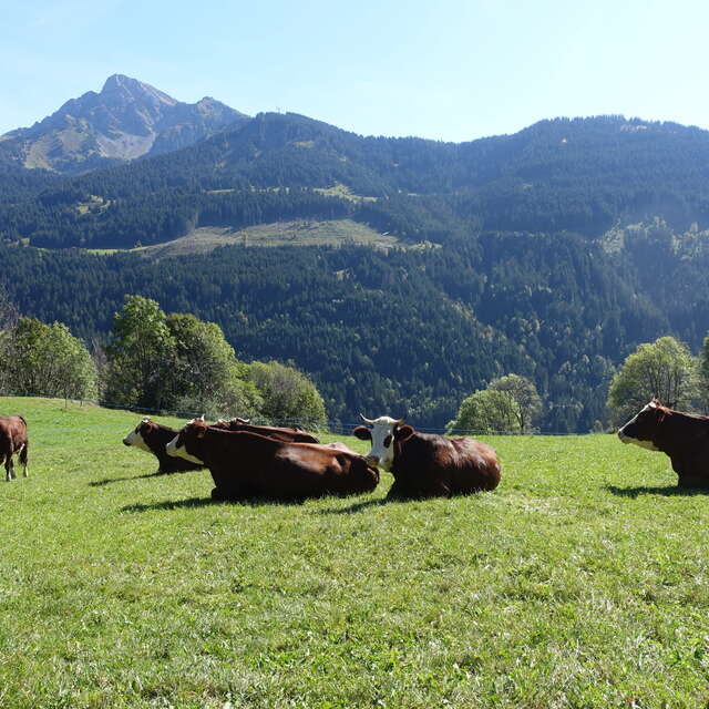Fermes et Greniers à Abondance
